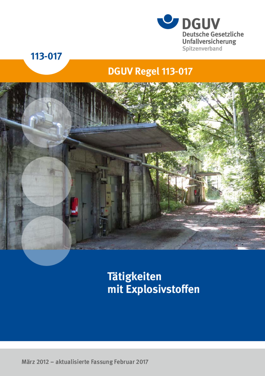 Tätigkeiten Mit Explosivstoffen | DGUV Regeln | Regelwerk | DGUV ...