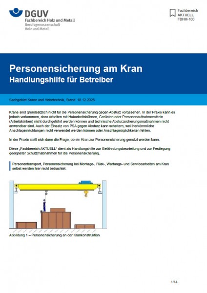 FBHM-100: Personensicherung am Kran – Handlungshilfe für Betreiber