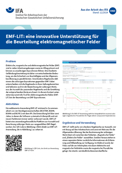 EMF-LIT: eine innovative Unterstützung für die Beurteilung elektromagnetischer Felder (Aus der Arbei