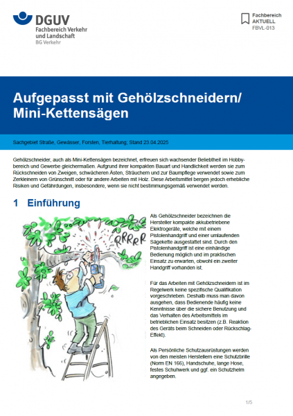 FBVL-013: Aufgepasst mit Gehölzschneidern/Mini-Kettensägen