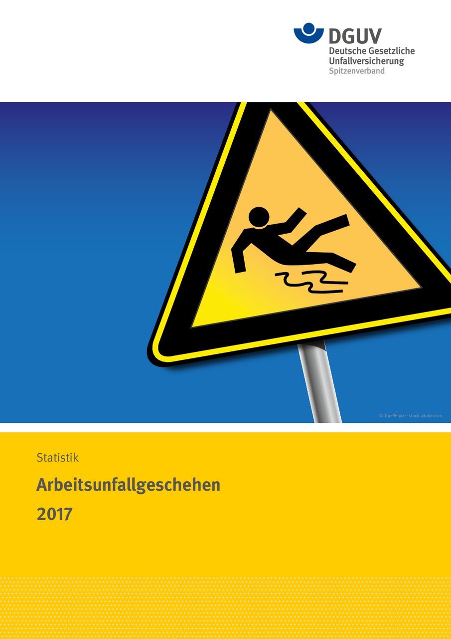 Arbeitsunfallgeschehen 2017 | DGUV Publikationen