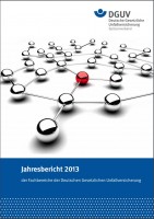 Jahresbericht 2013 der Fachbereiche der Deutschen Gesetzlichen Unfallversicherung