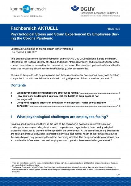 FBGIB-005: Psychological Stress and Strain Experienced by Employees during the Corona Pandemic