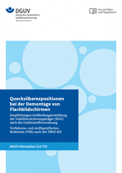 Quecksilberexpositionen bei der Demontage von Flachbildschirmen - Empfehlungen Gefährdungsermittlung