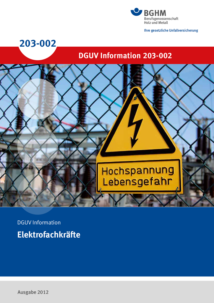Elektrofachkräfte DGUV Publikationen