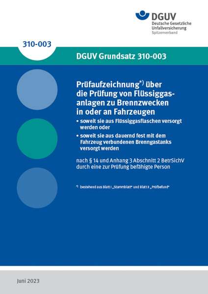 DGUV Grundsatz 310-003: Prüfaufzeichnung über Die Prüfung Von ...