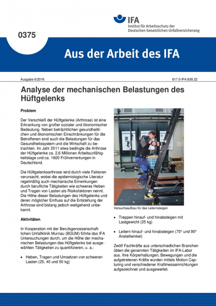 Analyse der mechanischen Belastungen des Hüftgelenks (Aus der Arbeit des IFA Nr. 0375)