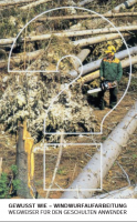 Gewusst wie - Windwurfaufarbeitung - Wegweiser für den geschulten Anwender