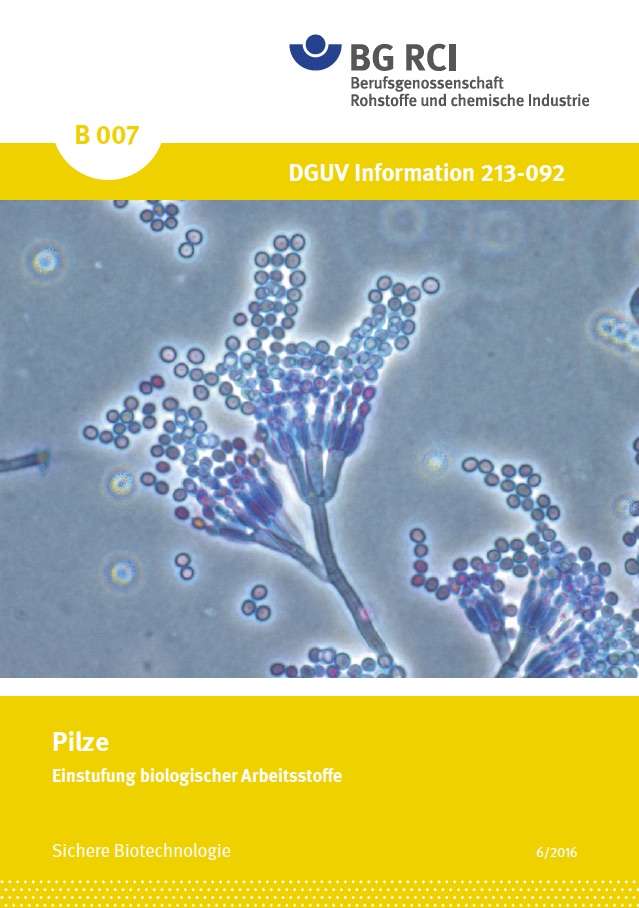 Einstufung Biologischer Arbeitsstoffe: Pilze (Merkblatt B 007 Der Reihe ...