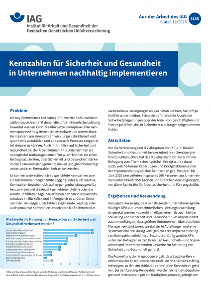 Kennzahlen für Sicherheit und Gesundheit in Unternehmen nachhaltig implementieren (Aus der Arbeit de