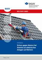 Schutz gegen Absturz bei Arbeiten an elektrischen Anlagen auf Dächern