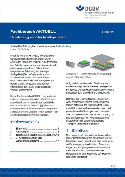 FBHM-123: Herstellung von Hochvoltspeichern