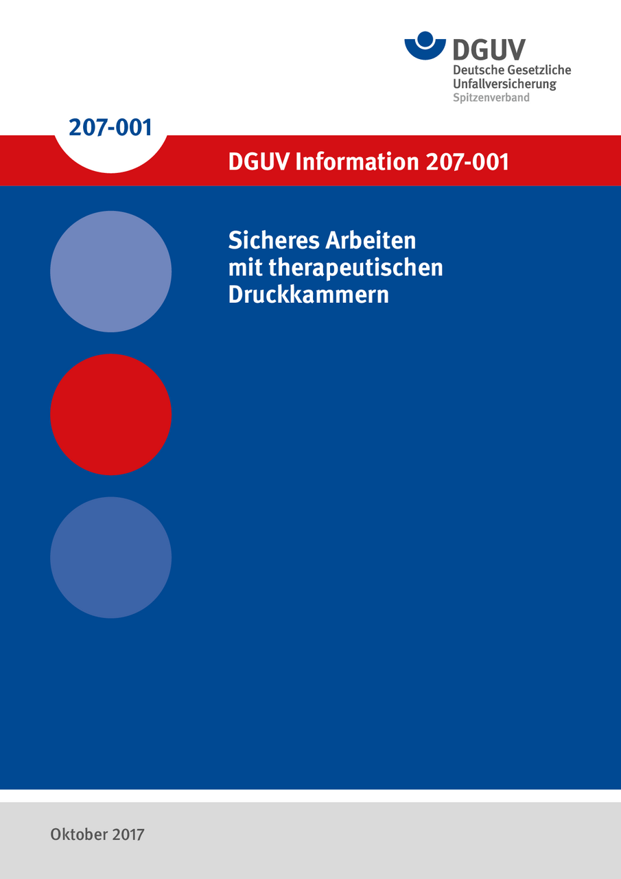 Dguv Information 207-023 : Was ist neu im Vorschriften- und Regelwerk ...