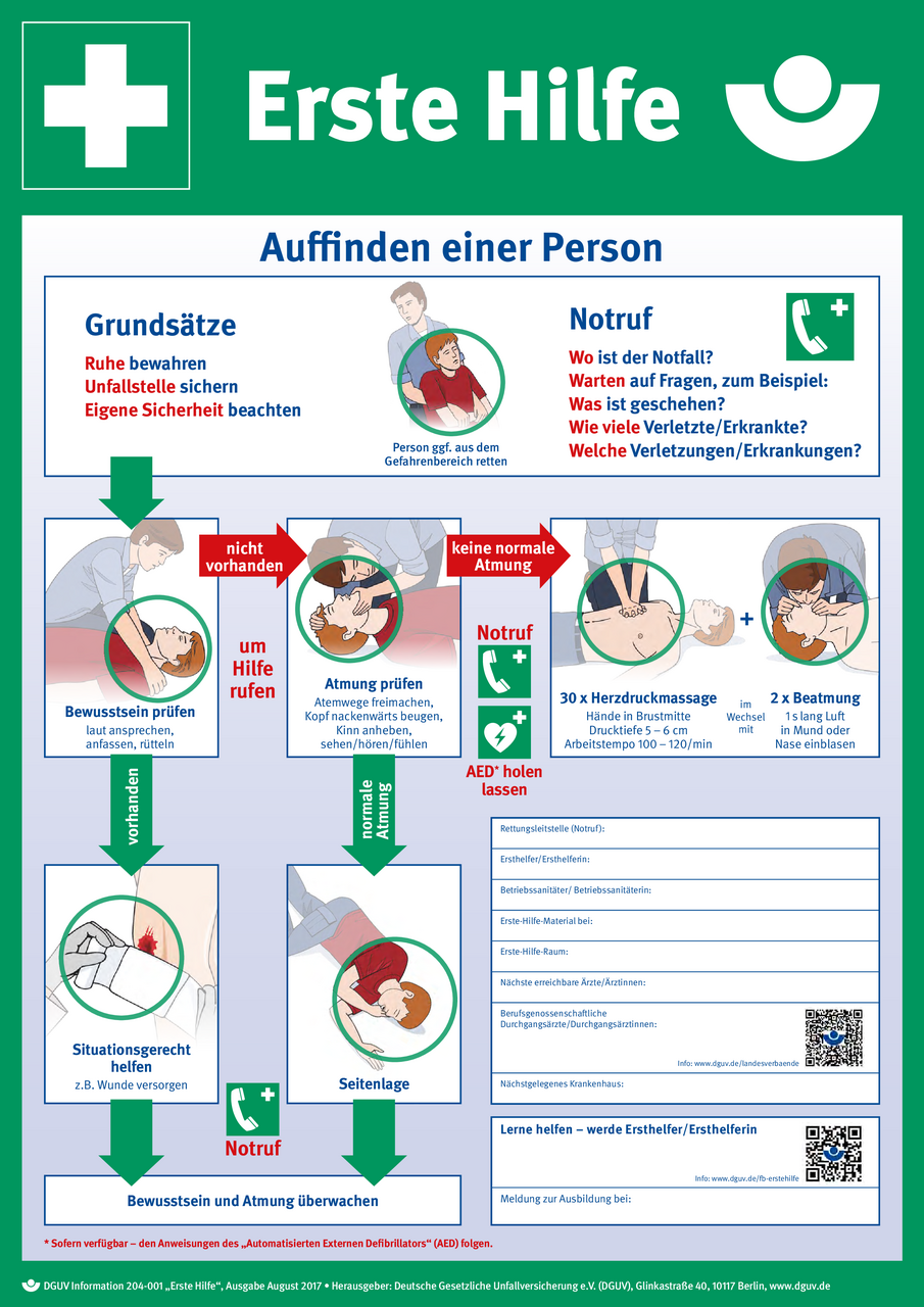 Erste Hilfe (Plakat, DIN A2) | DGUV Informationen | Regelwerk | DGUV  Publikationen