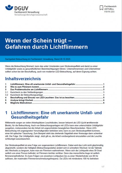 FBVW-203: Wenn der Schein trügt – Gefahren durch Lichtflimmern