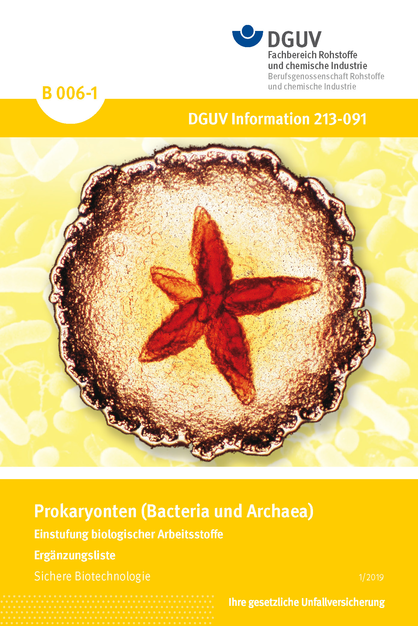 Prokaryonten (Bacteria Und Archaea)-Einstufung Biologischer ...