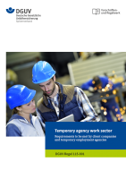 Temporary agency work sector - Requirements to be met by client companies and temporary employment agencies