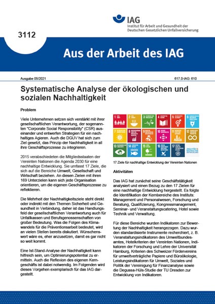Systematische Analyse der ökologischen und sozialen Nachhaltigkeit (Aus der Arbeit des IAG 3112)