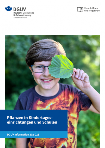 Pflanzen in Kindertageseinrichtungen und Schulen