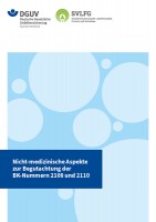 Nicht-medizinische Aspekte zur Begutachtung der BK 2108/2110